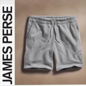 James Perse mens cozy Heather gray sweat shorts XXL 5
